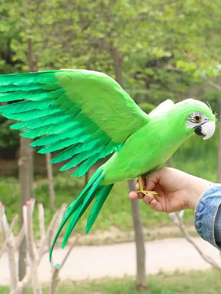 simulation green parrot model foam&feather wings parrot bird model gift about 45x60cm d0477