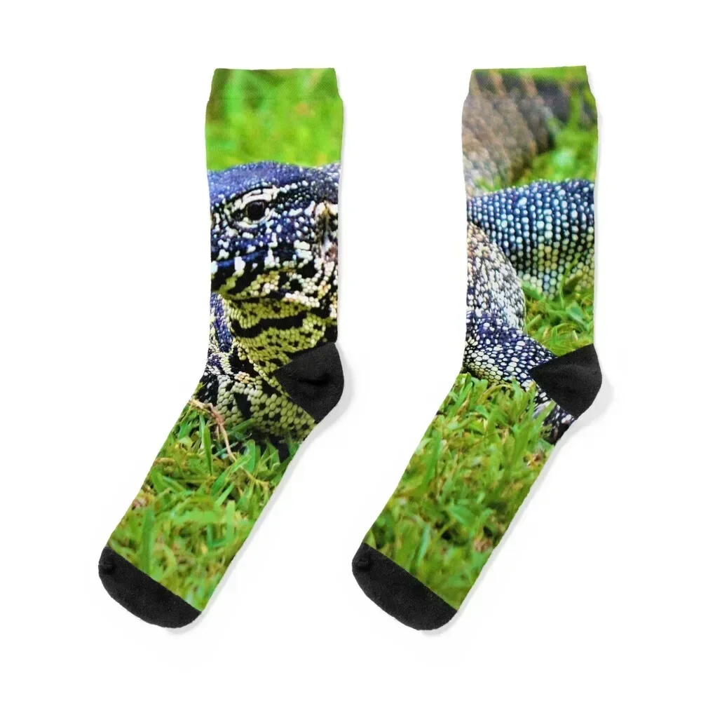 

Giant Monitor Lizard Socks New year's Argentina christmas gifts designer brand Male Socks Women's