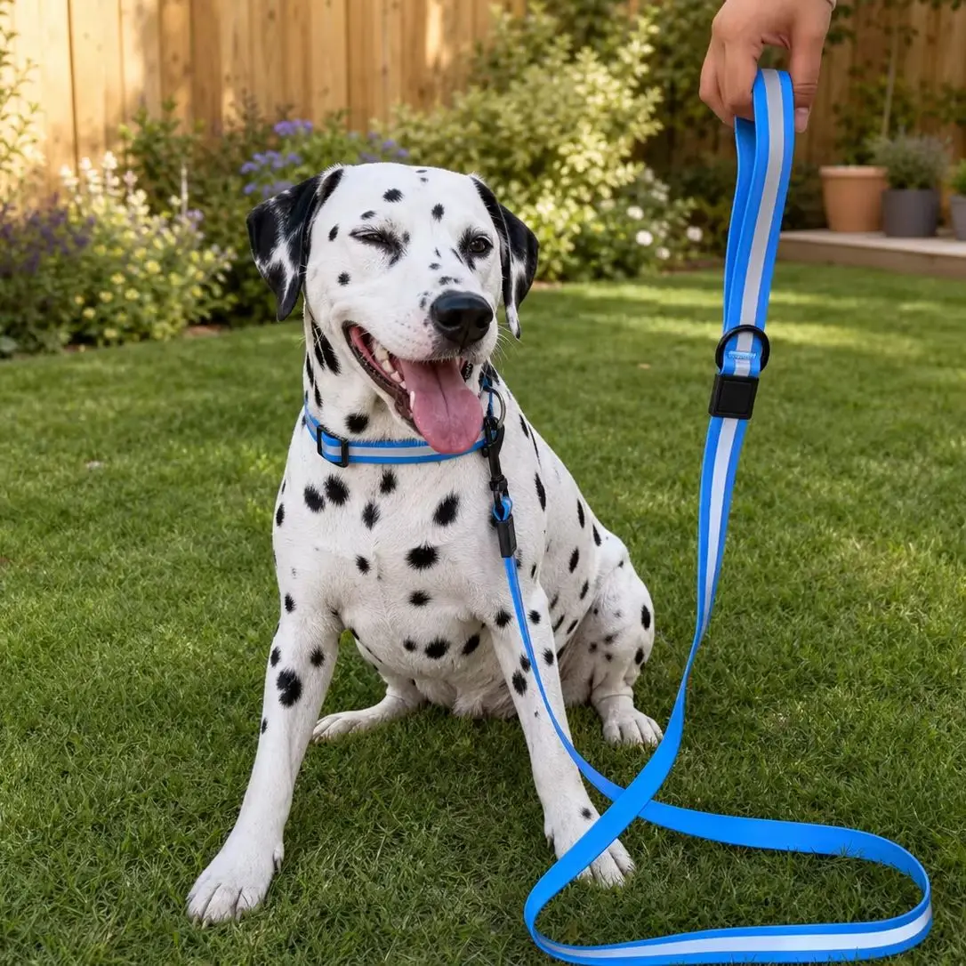 Reflektierendes PVC-Hundehalsband und Leine-Set 150cm Wasserdicht mit Schnellverschluss für Nacht-Sicherheit beim Spaziergang mit Kleinen und Großen Hunden