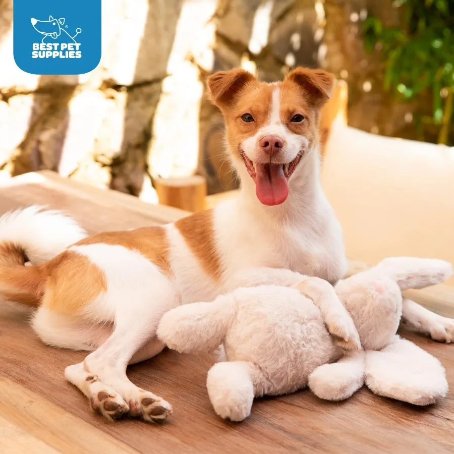 Giocattolo interattivo per cani Bunny Buddy con caratteristiche increspate e cigolanti per cuccioli o cani di razza piccola e media Simpatico peluche Interac