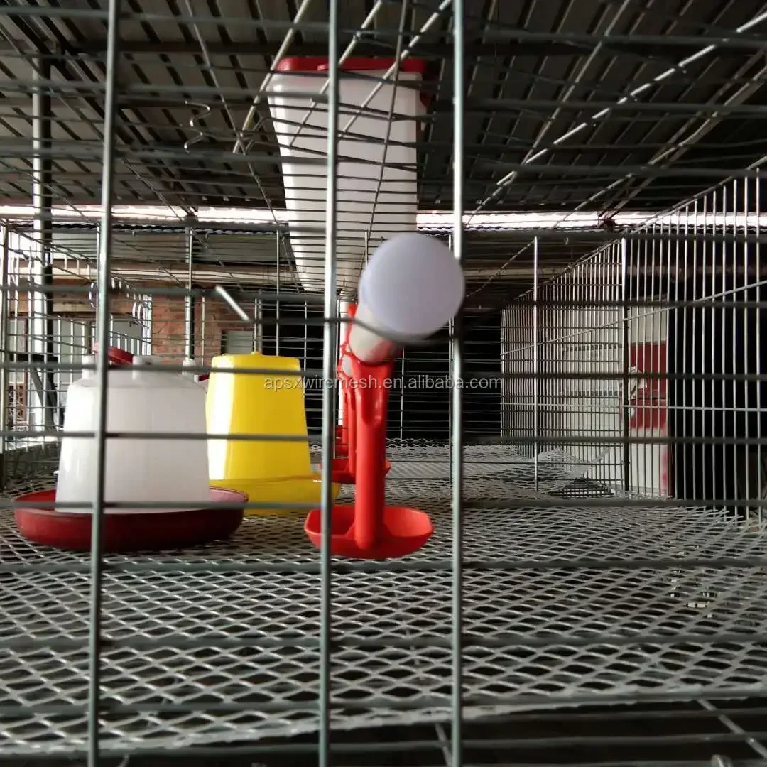 Newborn Battery Poultry Farming 4 Tiers 120 to 320 Birds Capacity H Type Baby Chick Brooder Chicken Cage