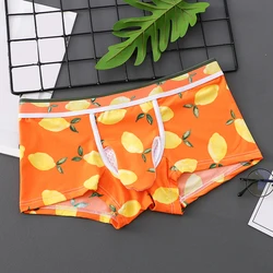 Mens Elephant Nose Briefs Mid-Rise Elastic Underwear JJ Sheath Cover Up Pouch Shorts Breathable Mesh Underpants