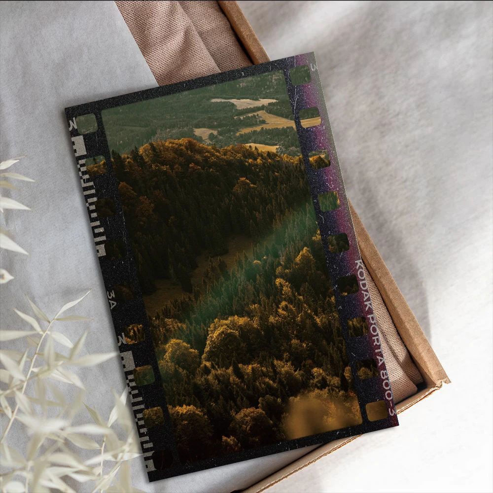 10PCS With the Light Poster Sticker 10×15CM Students Coffee Photo Luggage Kawaii Gift For Living Refrigerator Card Decals