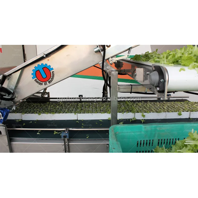 Quick-Cut the Process1020 Tray Automated Microgreen Tray Harvesting Machine With Conveyor Belt for Baby Leaf Lettuces