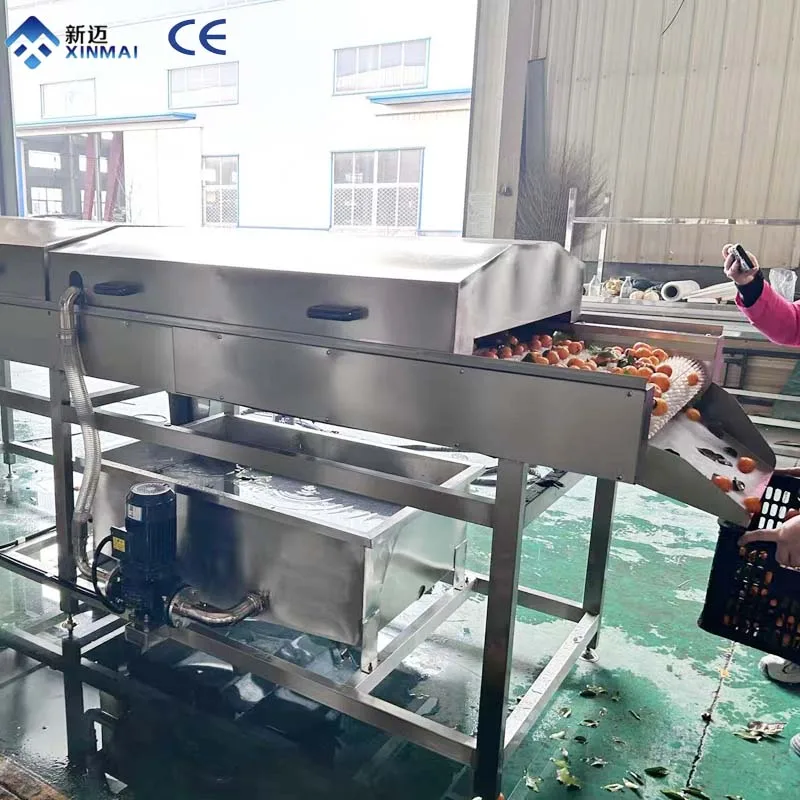 Multifunctional Brush Peeling Washing Machine New Seafood Fruit Parallel Brush Roller Cleaner for Plant