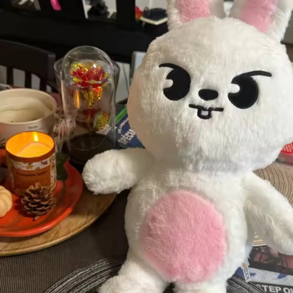 

Skzoo Plush Toy Skzoo Teddy Doll Kawaii Plush Cartoon Stuffed Animal Soft Doll Kawaii Toys Room Decor Children Fans Gift