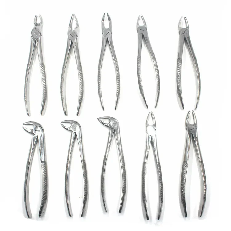 10pcs Stainless Steel Pliers Laboratory Dentals Extracting Forceps Set