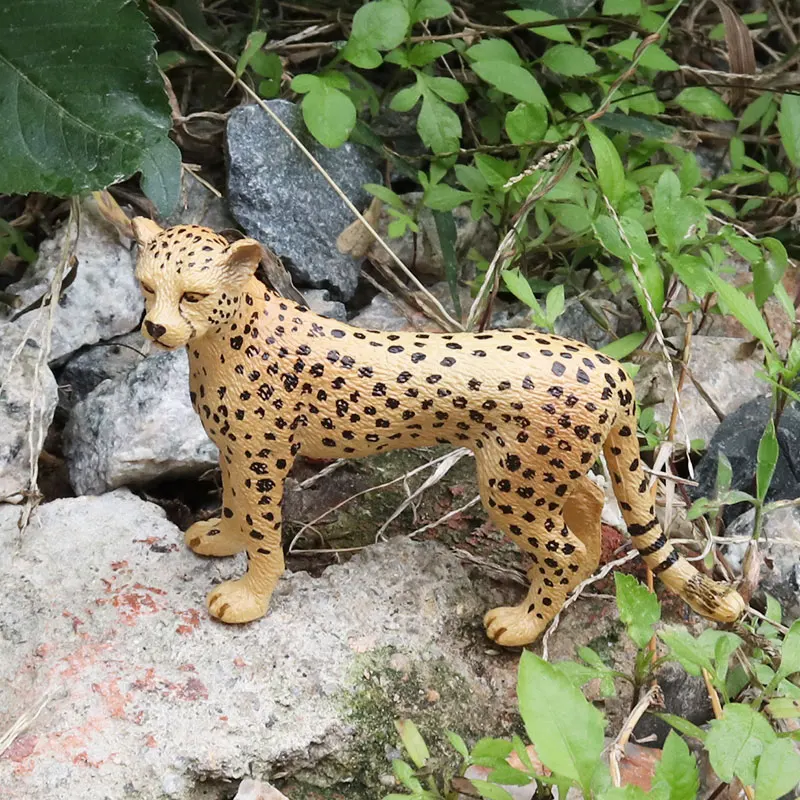 Oenux Simulation Wilde Tiere Bengalkatze Tiger Katze Luchs Caracal Leopard Action Figur Figuren Modell Bildung Miniatur Kind Spielzeug – Detail 21