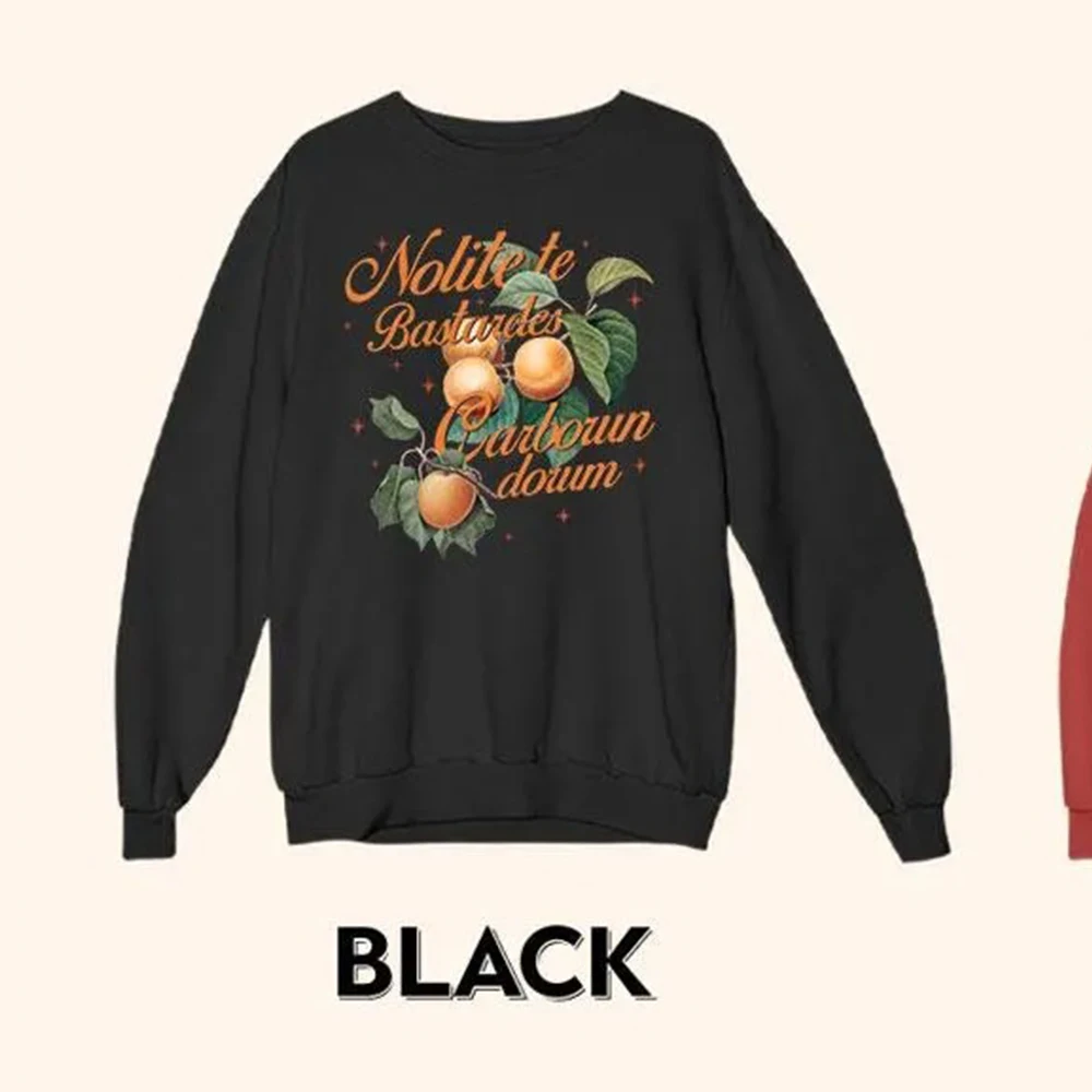 Damski sweter vintage Fourth Wing Merch, prezent dla miłośniczek książek, Nolite Te Bastardes Carborundorum, swetry Y2K, śmieszna bluza, odzież uliczna