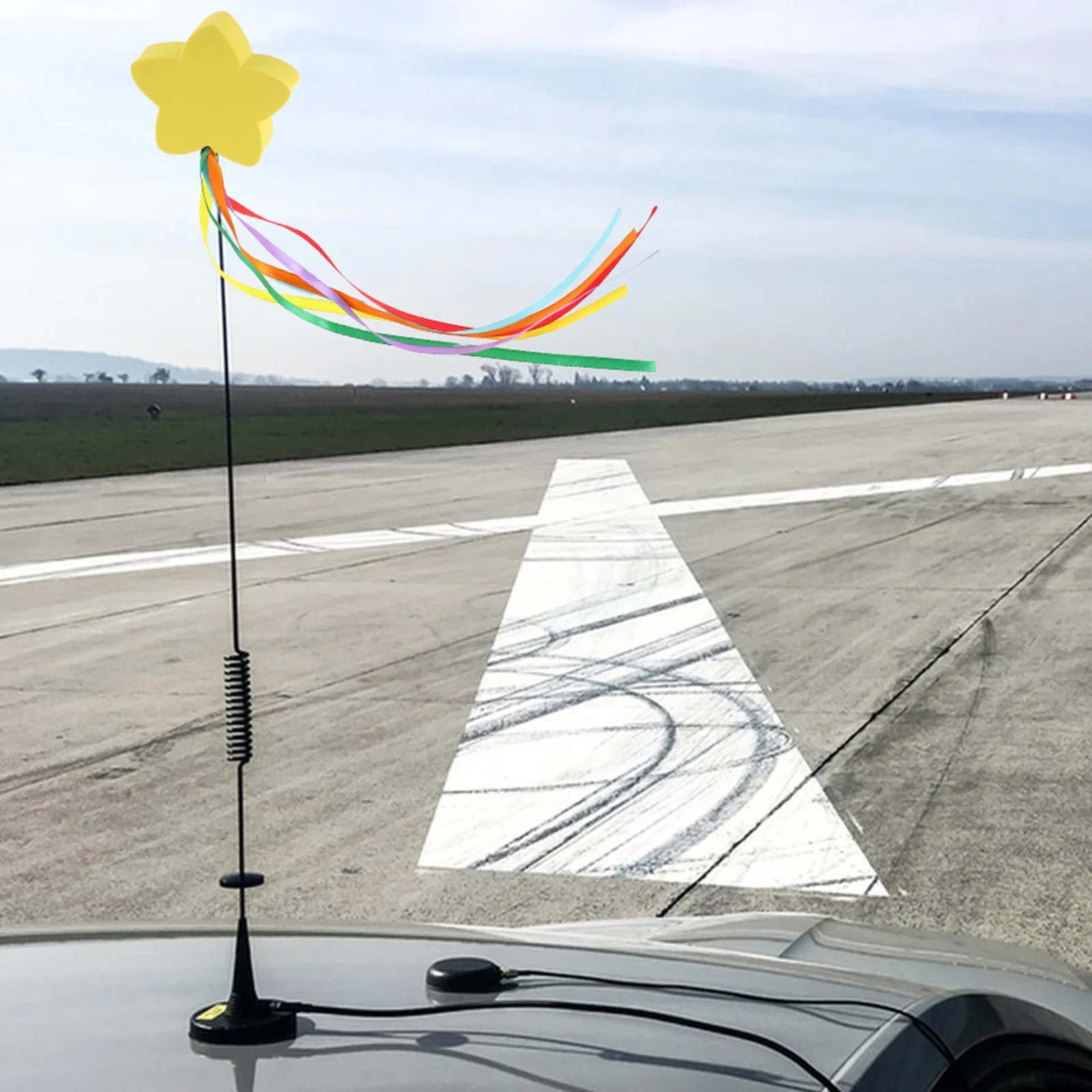 

2Pcs Vehicle Decoration Antenna Toppers Creative Dolphin Longlasting Vibrancy Simple Setup Compact Sturdy