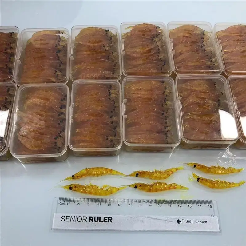 isca-de-pesca-de-krill-antartico-preparada-secretamente-isca-para-pesca-no-mar-no-inverno-equipamento-de-pesca-de-camarao-recheado-suprimentos-para-camping-e-viagem