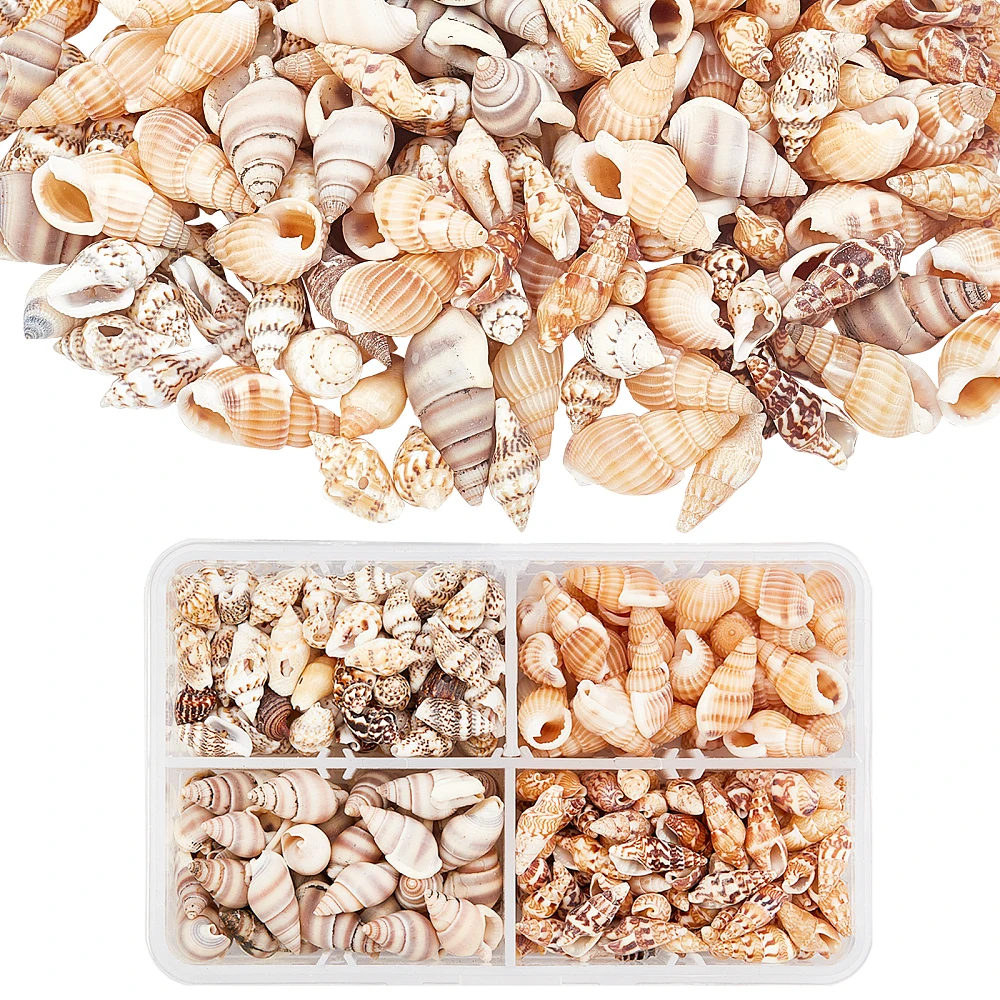 

1box Approximately 330pcs Spiral Shells 4 styles Ocean Beach Shells Without Hole for Jewelry Bracelet Crafts Home