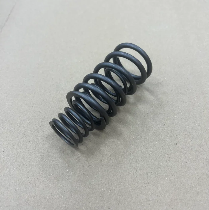 Daewoo Parts  Engine Parts 65.04102-6007 Valve Spring for Engine