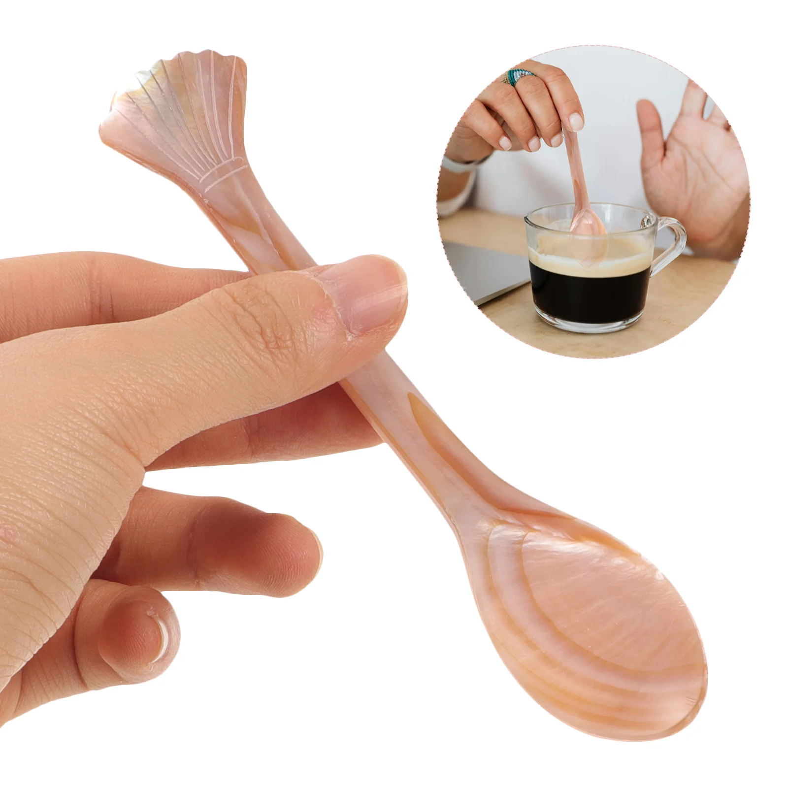 

Shell Spoon Natural Lightweight Design For Coffee Ice Cream Soup Caviar Dessert Serving Compact Kitchen Essential Porridge