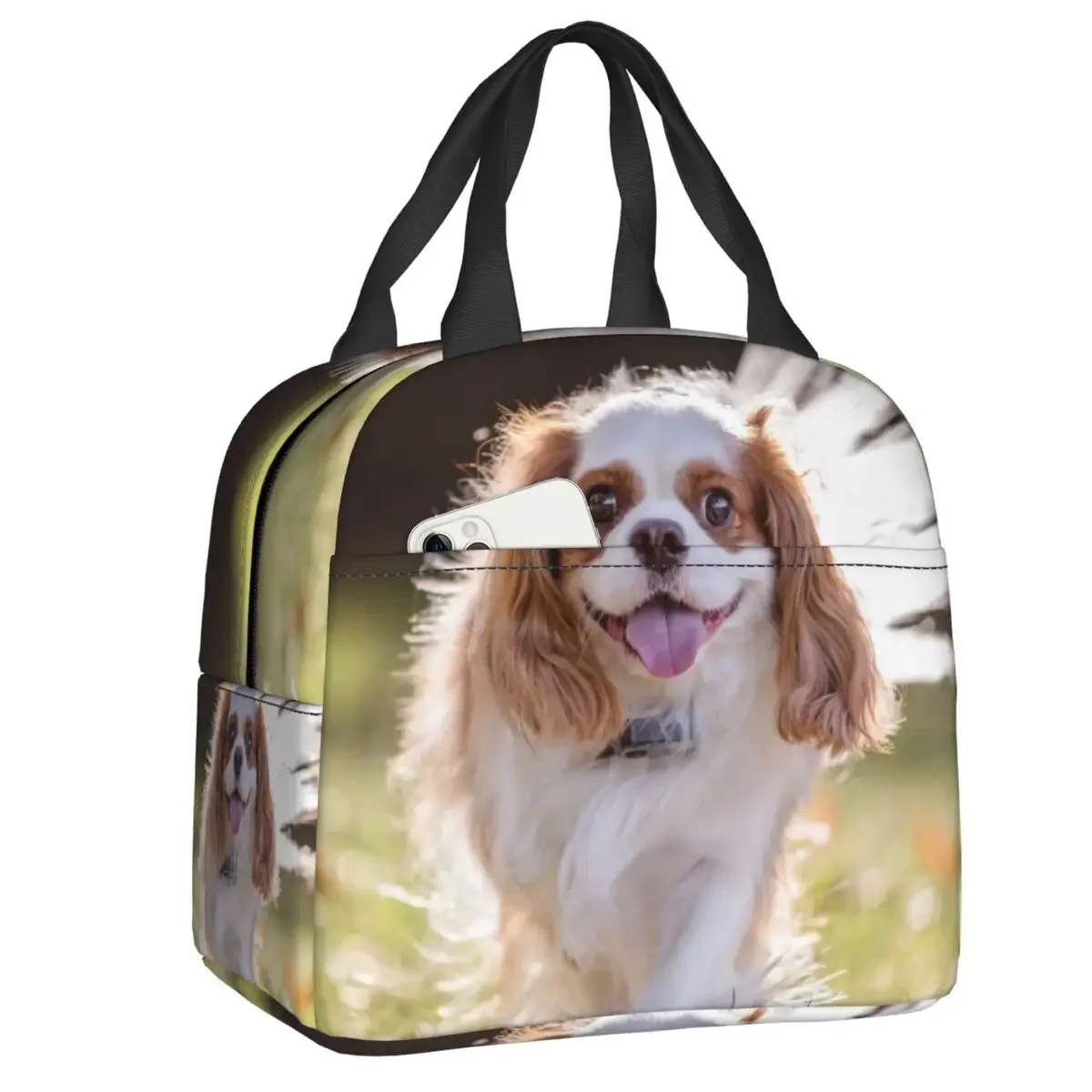 Cavalier King Charles Spaniel Dog Insulated Lunch Bag for Work School Animal Leakproof Cooler Thermal Bento Box Women Children