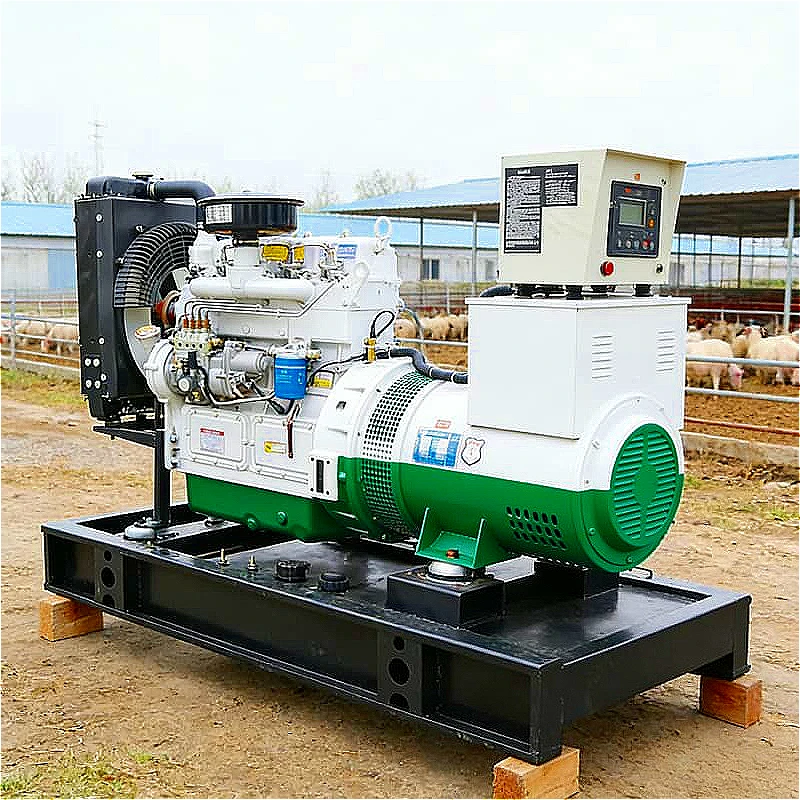 High Quality Portable Generator Set Silent Generator Outdoor Camping RV Trailer Air Conditioner Refrigerator Power Customized