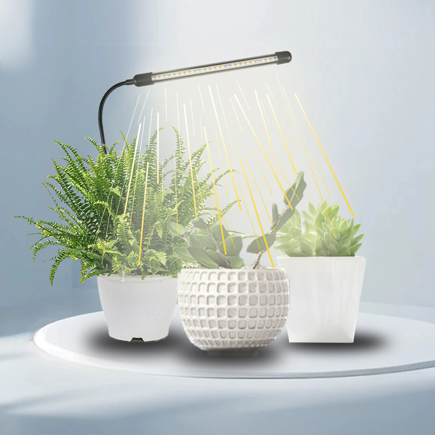 

Single tube floor-standing plant lamp with 5-level dimming 3 types of timing functions and 360° flexible rotation capability