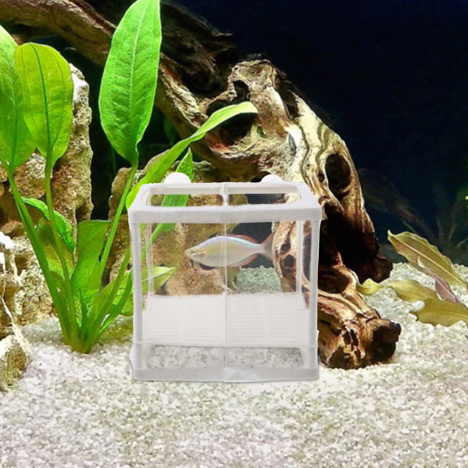 

2pcs Breeding Hatchery Tank Isolation Net Aquarium Fry Box Fish Incubator Survival Rate Enhancer Premium Plastic Aquarium
