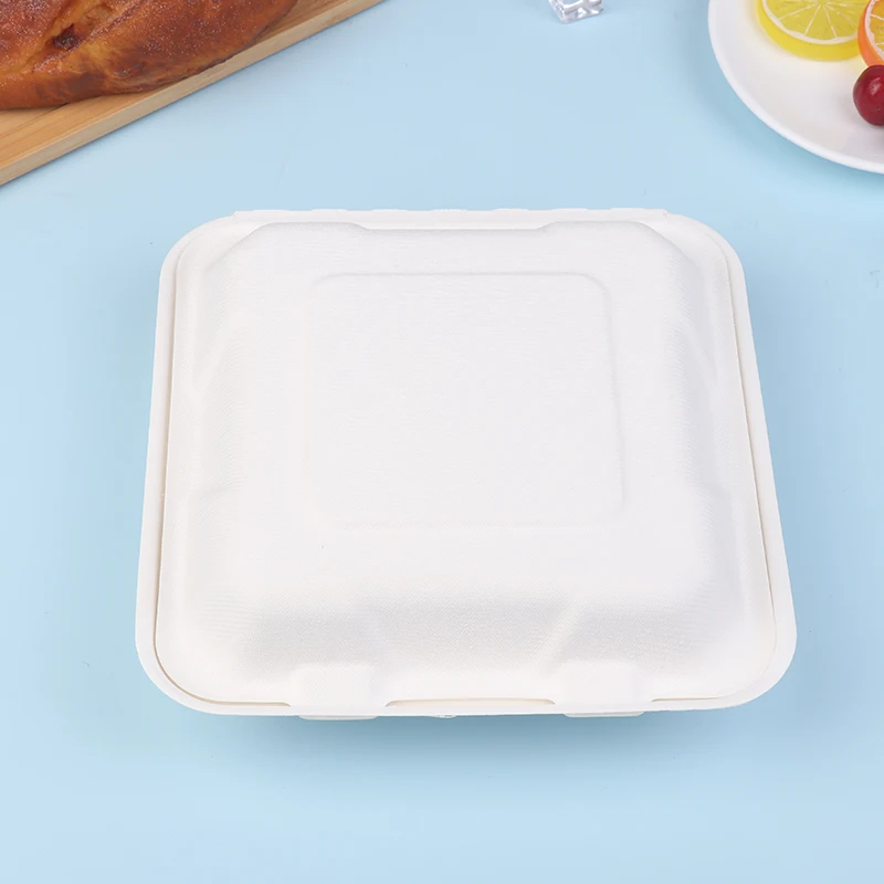 10Pcs Compostable Disposable 10 Pack 3 Compartment Takeout Lunch Box Containers With Lid To Go Take Out Clamshell For Food