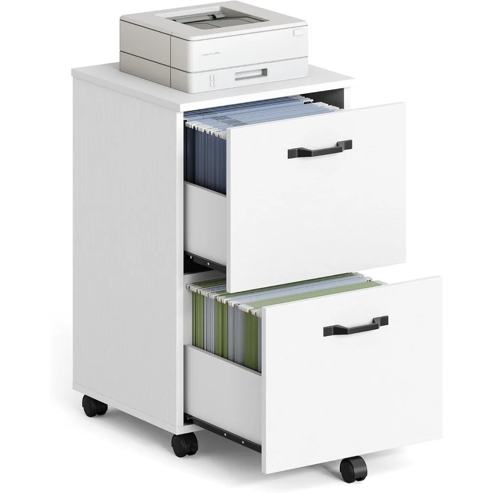 

2-Drawer File Cabinet, Small Rolling Filing Cabinet for Home Office, Printer Stand, for A4, Letter-Size Documents, 15.7 x 16.5