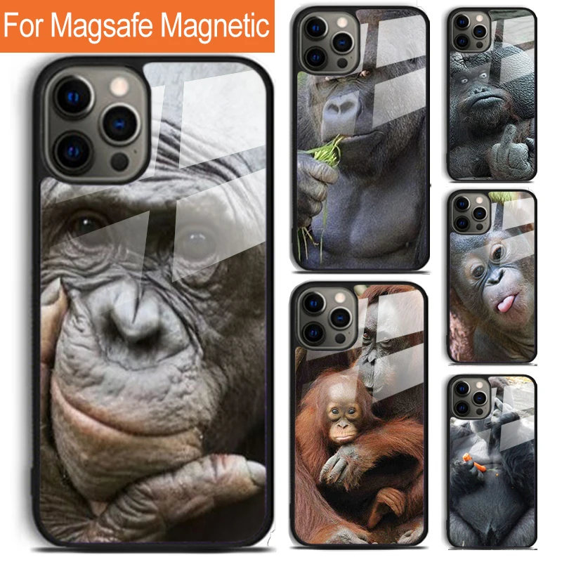 CUTE ORANGUTAN monkey BABY 2 Phone Case For iPhone 16 15 14 13 12 11 Pro Max Plus Magsafe Magnetic Wireless Charging Cover