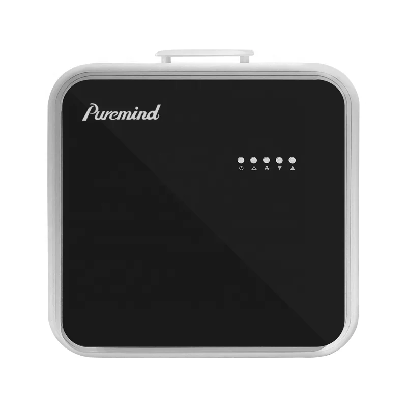 Puremind Mobile Portable Air Cooler Portable Air Conditioner for Home 7000Btu 760W Household Type Split Air Conditioning R410a