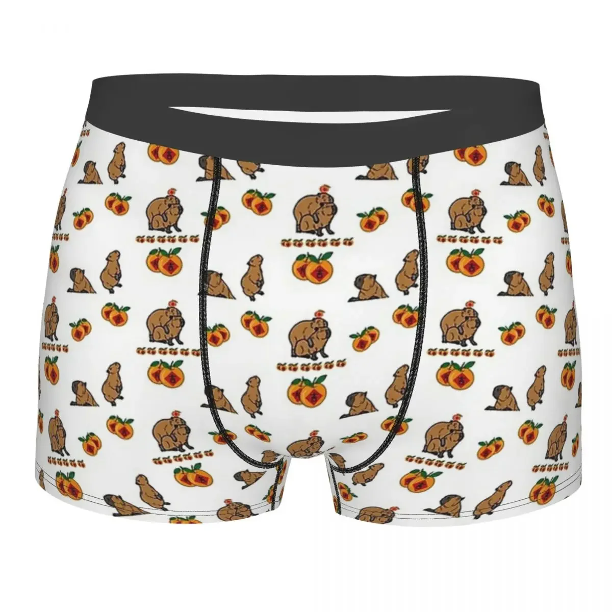 Capybara Hydrochoerus Hydrochaeris Animal With Mandarin Orange Underpants Panties Men's Underwear Ventilate Shorts Boxer Briefs