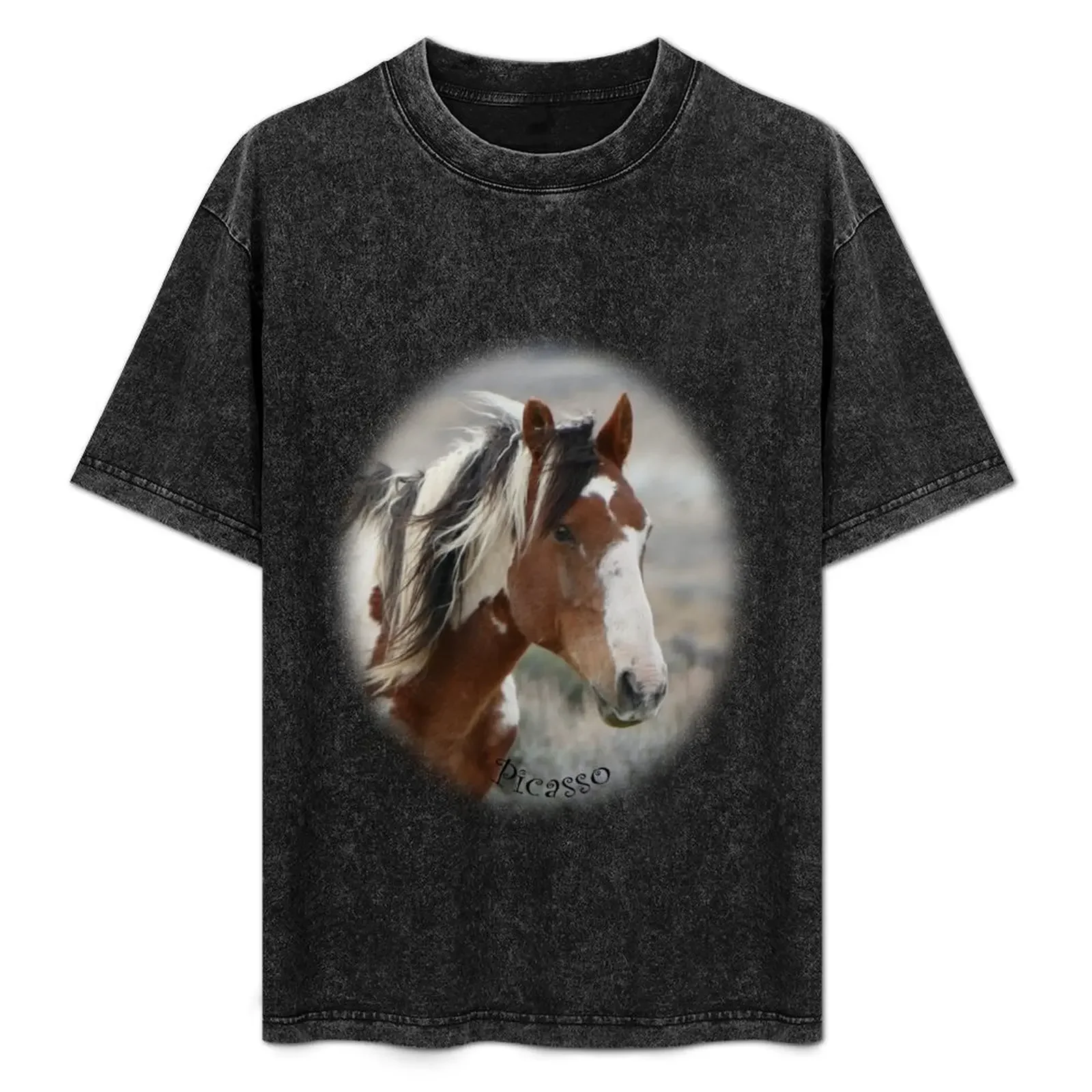 

Picasso of Sand Wash Basin T-Shirt t shirt man plain cotton tshirt 100% T-Shirt