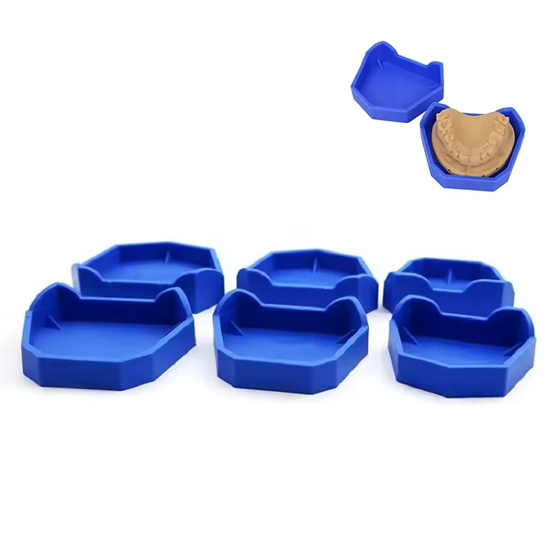 2/6Pcs Dental Model…