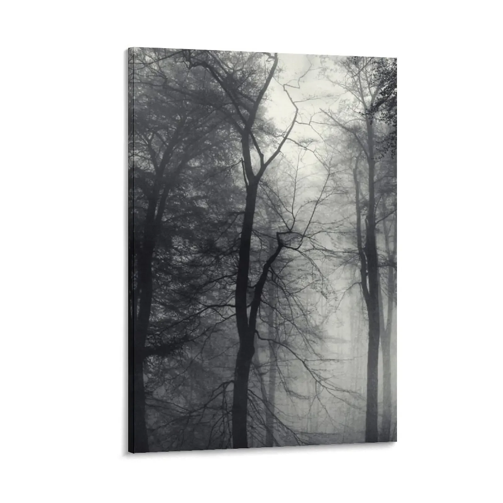 

the shape of things - trees in fog Canvas Painting anime decorations for the room poster aesthetic