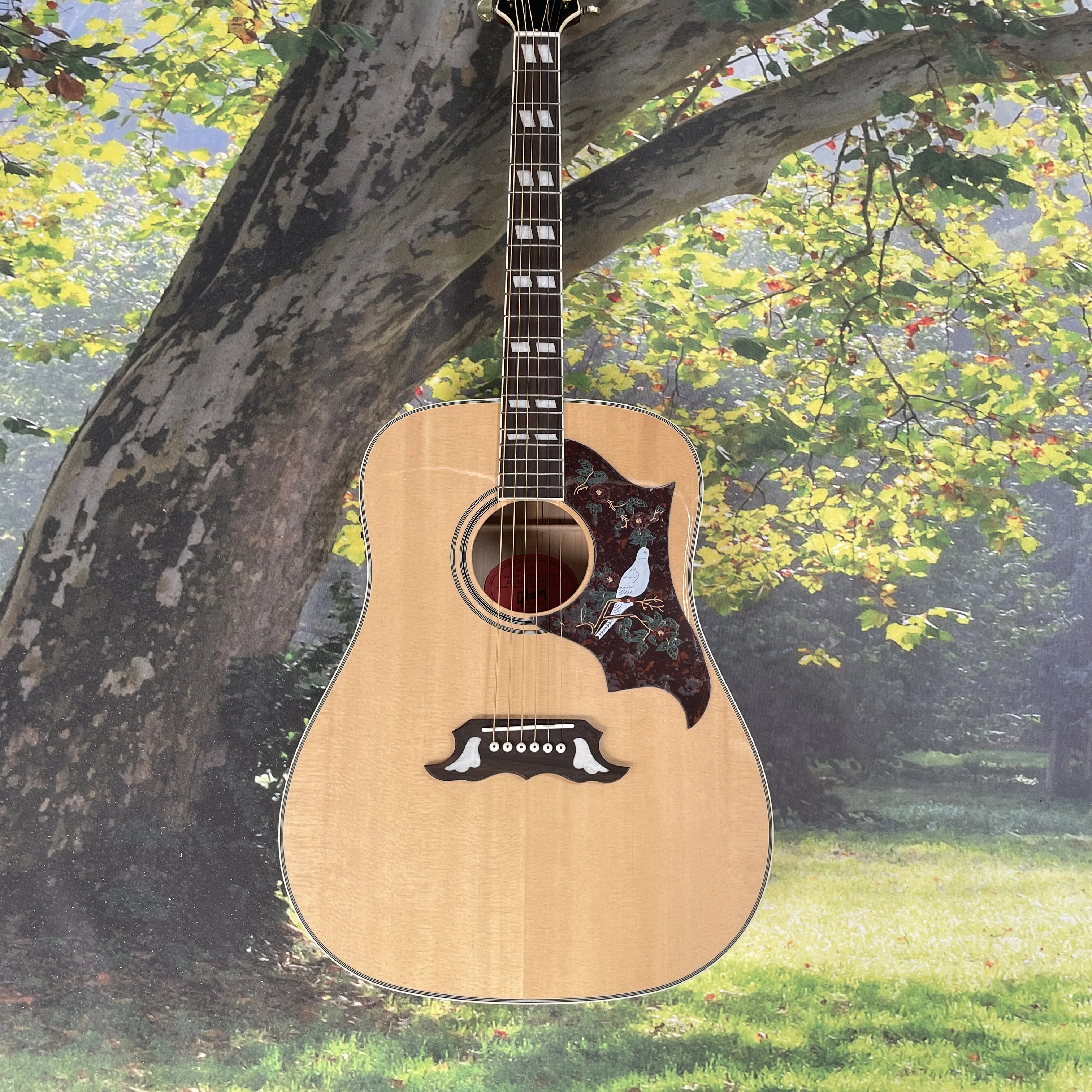 الطائر الطنان حمامة الأصلي الشعبية ستوديو الغيتار الصوتية 301 الغيتار الكهربائي #1