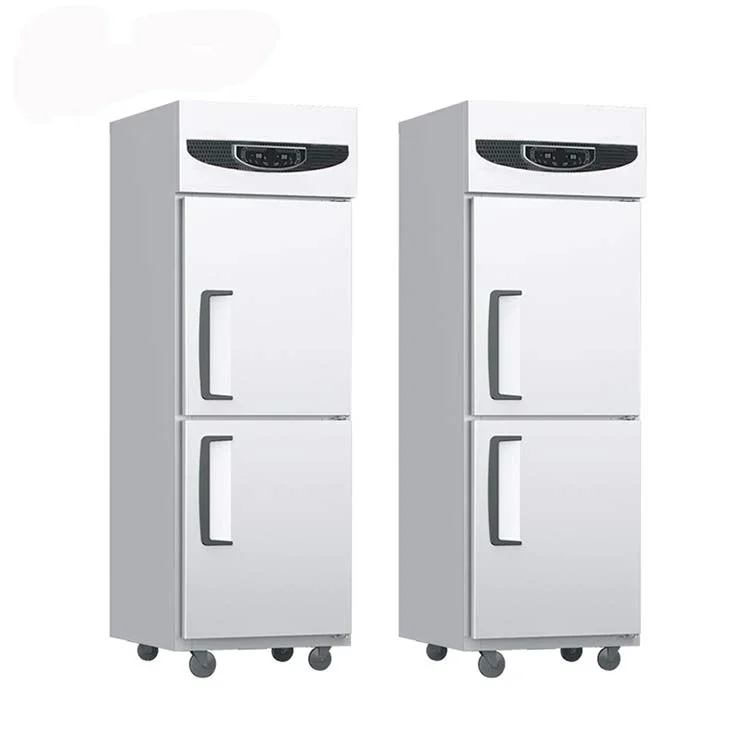 Commercial Vertical Kitchen Double Door Refrigerator Refrigeration Equipment