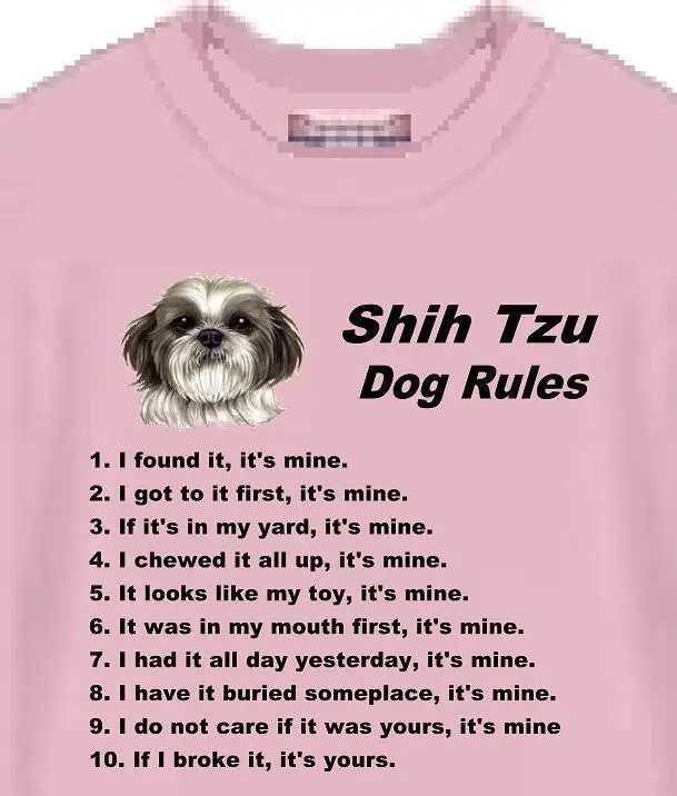 

Shih Tzu Dog T Shirt Men Women -- Shih Tzu Dog Rules - Also Sweatshirt Available