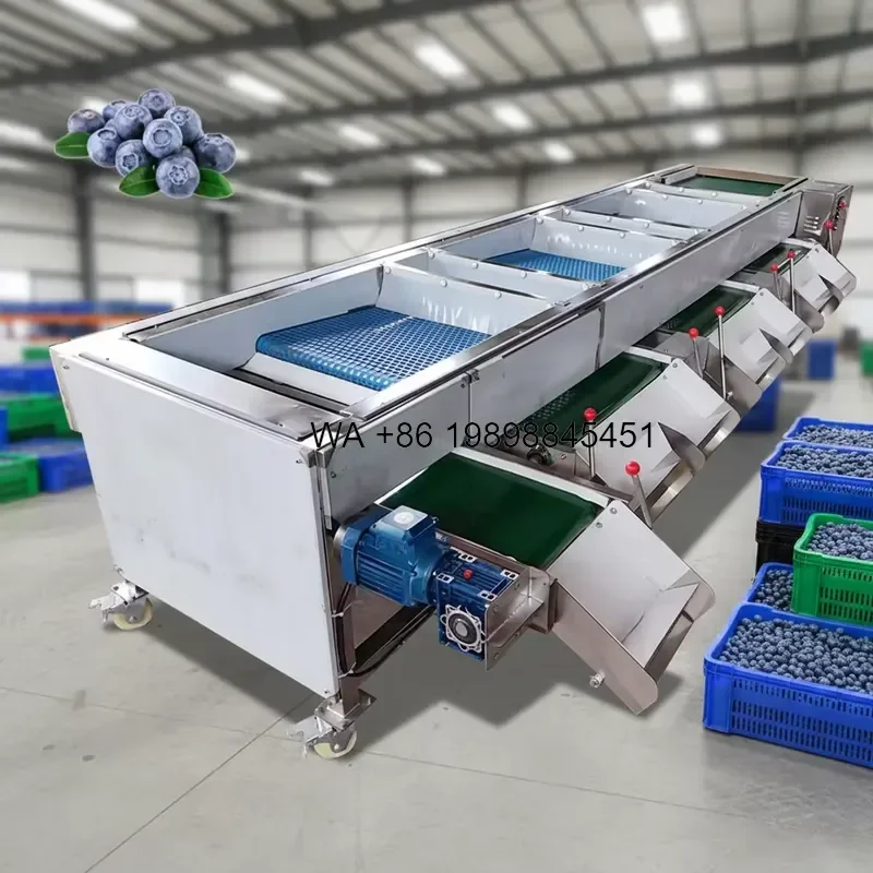 Wmwmnu Industrial Blueberry Sorter Grader Stainless Steel High Efficiency 500-1000kg/h Capacity for Bilberry