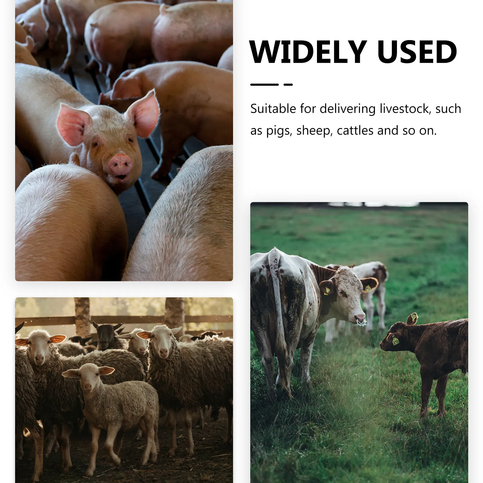 

50 шт. одноразовых ветеринарных перчаток для родовспоможения скота, длинные, с защитой пяти пальцев, для безопасной и гигиеничной работы