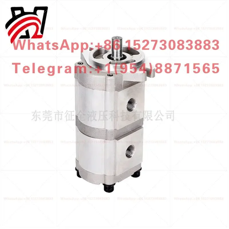 HGP-33A-F12R Double Small Stainless Steel Multi Split High Pressure Pump Head Assembly