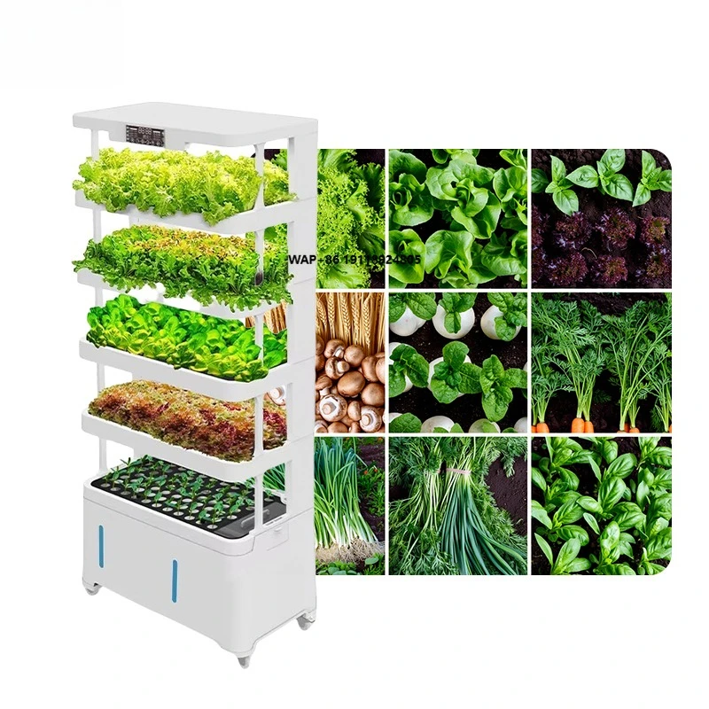 Indoor Vertical Growing System Intelligent Hydroponic Equipment for Soilless Cultivation