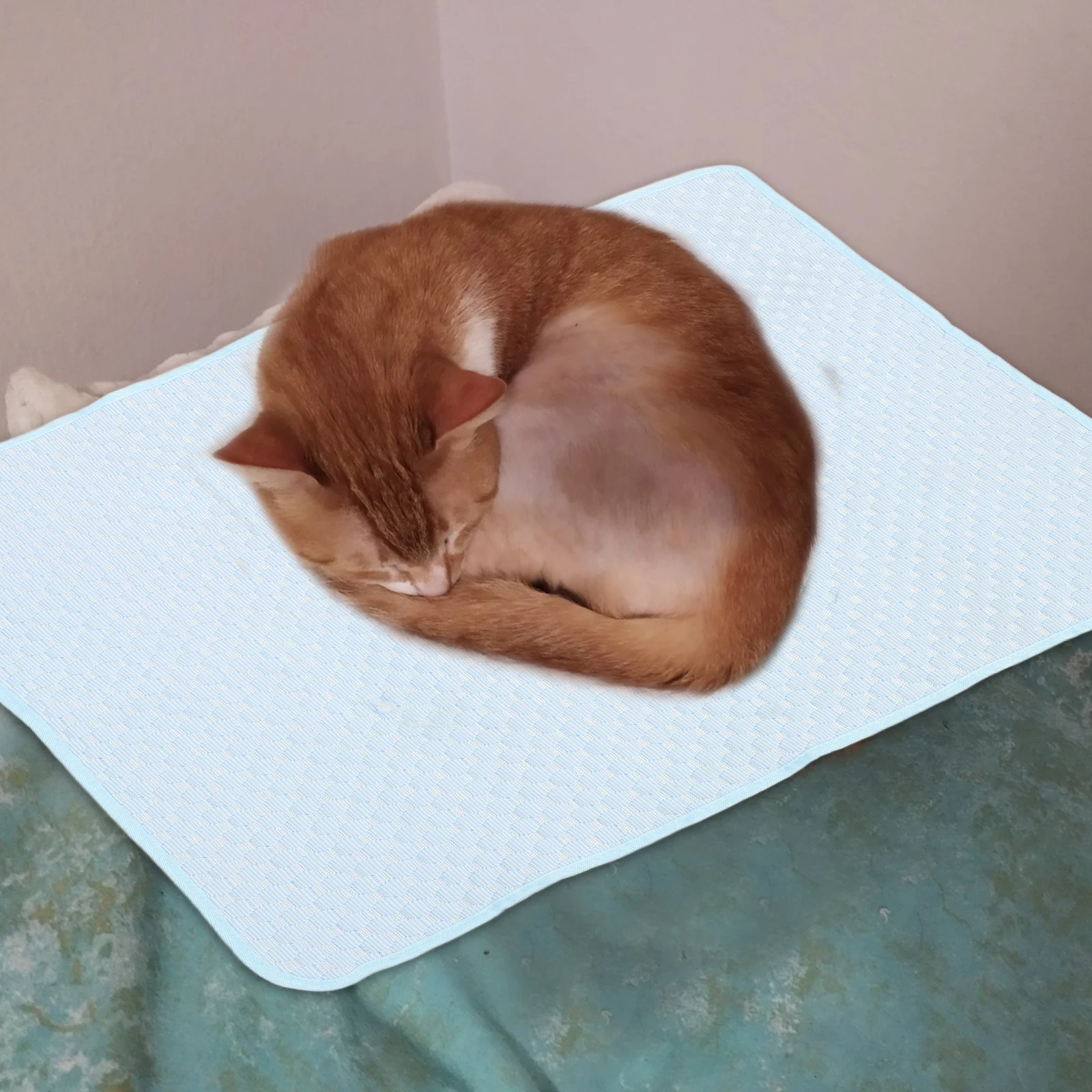 

Pet Cooling Pad L Size Dog Cat Bed Summer Mat Nonskid Comfortable Nest Cooling Bed Home Travel Outdoor Activity