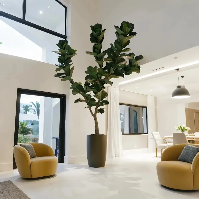 نباتات اصطناعية نباتات بوعاء داخلي شجرة اصطناعية كمان ورقة شجرة التين اللبخ Lyrata صديقة للبيئة