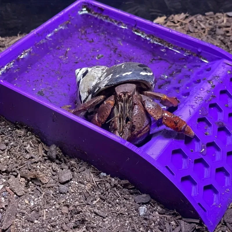 Hermit crab pond decoration hermit crab tank decoration toys hermit crab climbing pool toys hermit crab decoration accessories