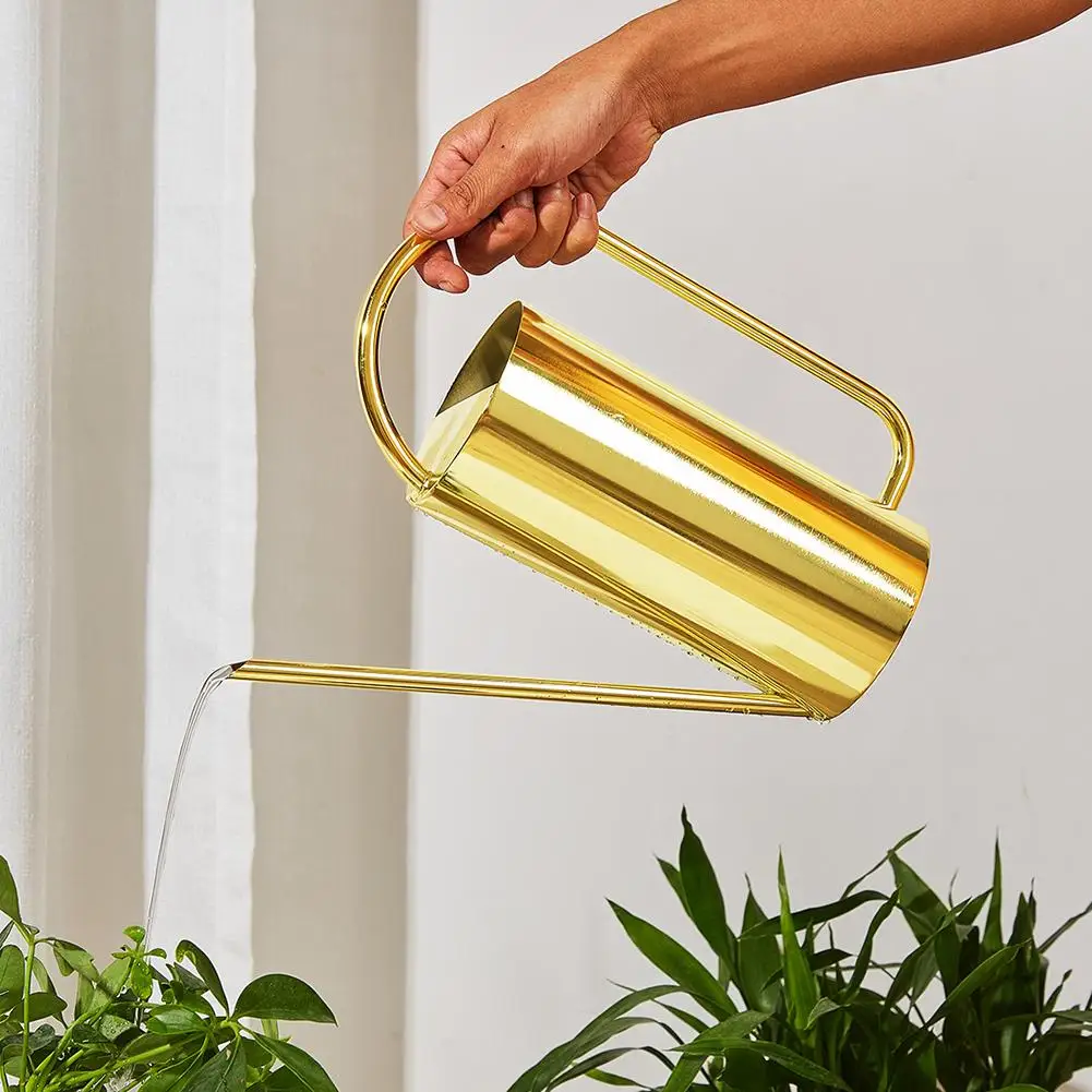 

50 Oz/1500 Ml Watering Can Pot With Long Spout Rustproof Stainless Steel Houseplant Watering Can For Indoor Plants Bonsai