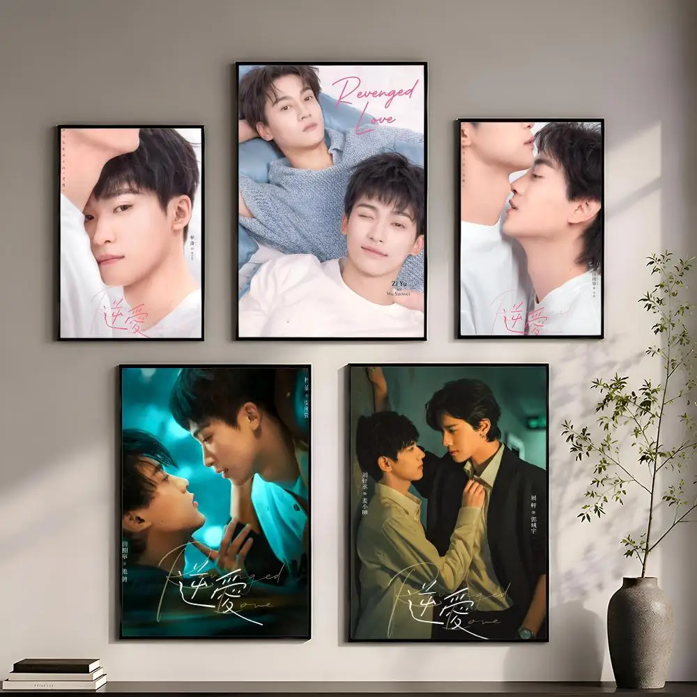 TV Reverse Love Homosexual Danmei Drama Poster Perfect Sticker Self Adhesive for Office Home Theater Wall Art Decor Fancy Gift