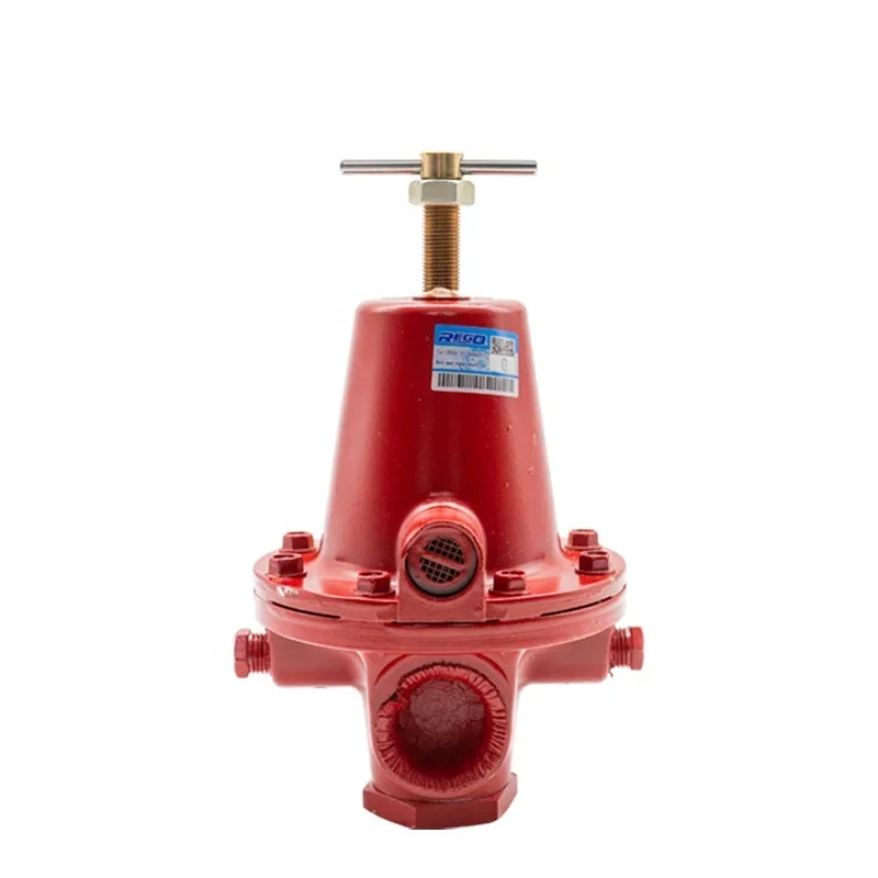 

REGO DN25 (1 Inch) Pressure Reducing Valve 1588VN for Boiler Parts