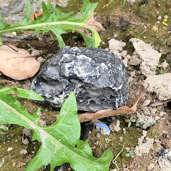 돈 현금 열쇠 보석 알약 안전 상자, 모조 송진 돌 숨겨진 스토리지, 크리에이티브 컨테이너, 마당 구획