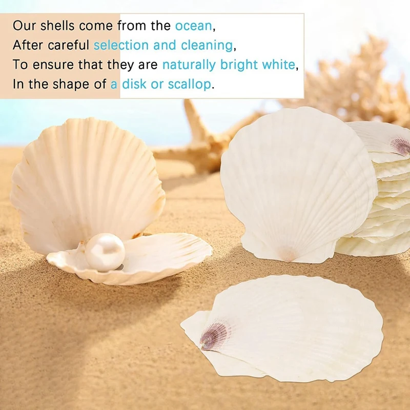15 PCS Natural Sea Shell Large White, 4-4.7 Inch Scallop Shells for DIY Craft, Serving Food, Baking and More-A10G