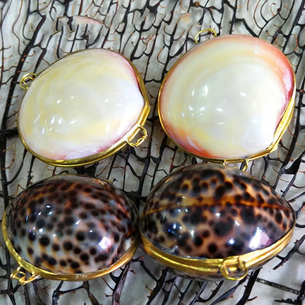 صندوق مجوهرات على شكل صدفة، علبة حلق إبداعية، صناديق تعبئة الهدايا، أشتات، مقترح آمن للمناسبات الخاصة