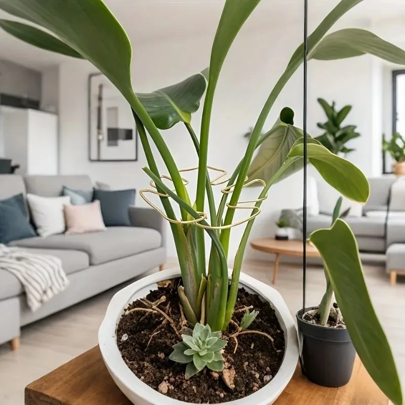 1 Stück großer Monstera-Pflanzenstützrahmen, robuste Kletterschäfte, Blattstabilisator, Außenbereich für hohe Zimmerpflanzen, hängender Pflanzenständer – Detail 3