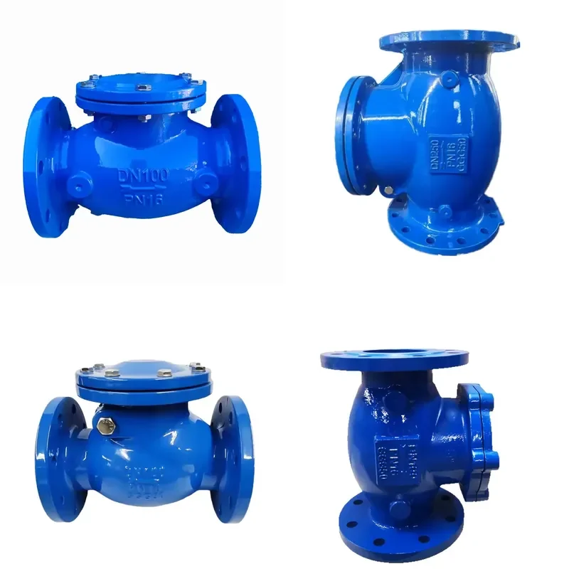 British Standard Rotary Check Valve Ductile Iron GGG50 8-inch Flange Connection ASME B16.25 Shutoff Water