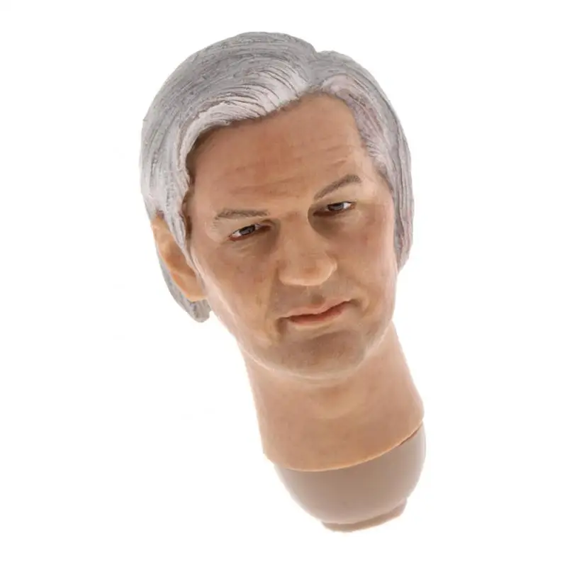 1/6 Scale Male Figure Head Sculpt Assange for 12 inch Action Figure HT Verycool Body Parts