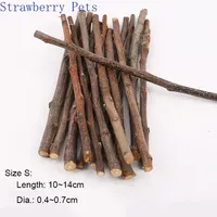 5pcs 10pcs 40pcs Chew Stick Apple Tree Branch Hamster Squirrel Natural Toys Parrots Rabbits Grinding Stick